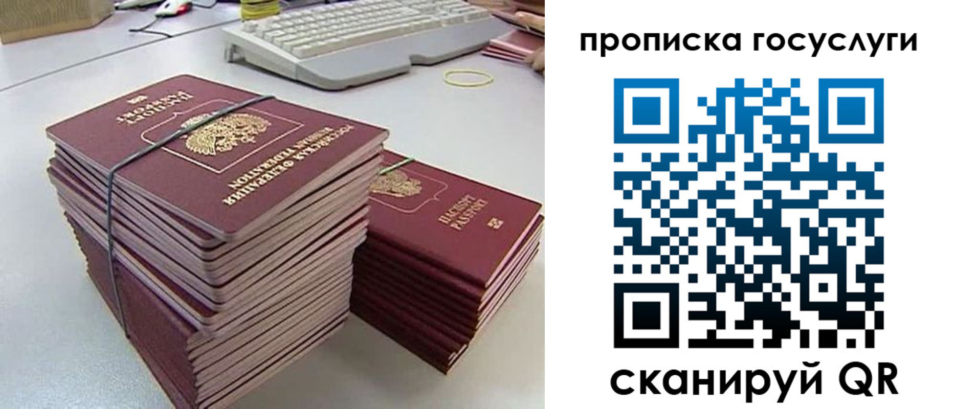временная регистрация для школы в Камышине